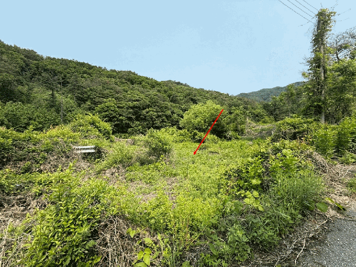 경기도 남양주시 오남읍 팔현리 89-1 외 6필지 공장 경매 사진 50