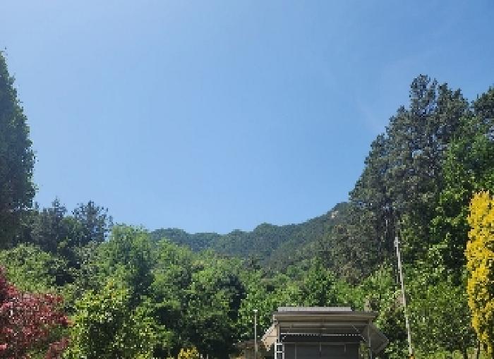 충청북도 옥천군 옥천읍 대천리 산18-1 임야 경매 사진 13