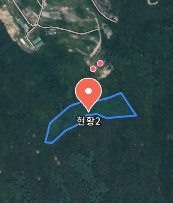 충청남도 금산군 제원면 천내리 196-7 외 3필지 임야 경매 사진 3