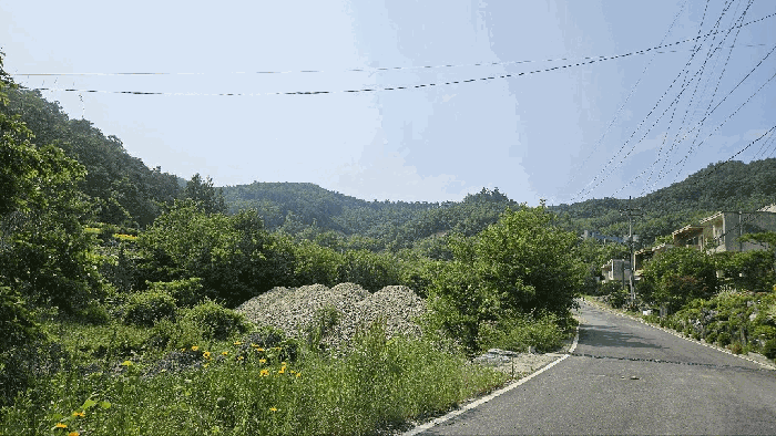 충청남도 금산군 제원면 천내리 196-7 외 3필지 임야 경매 사진 21