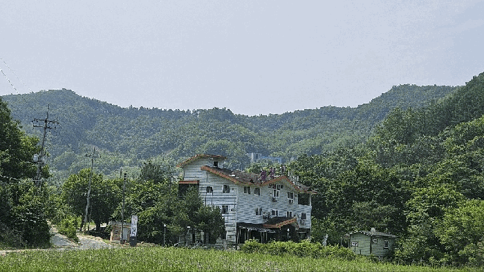 충청남도 금산군 제원면 천내리 196-7 외 3필지 임야 경매 사진 22