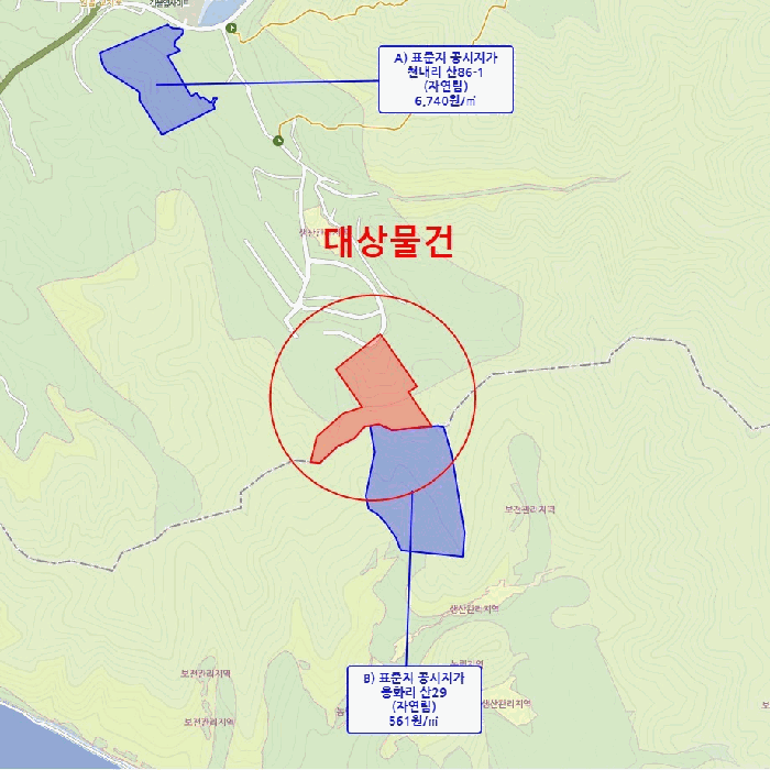 충청남도 금산군 제원면 천내리 196-7 외 3필지 임야 경매 사진 35