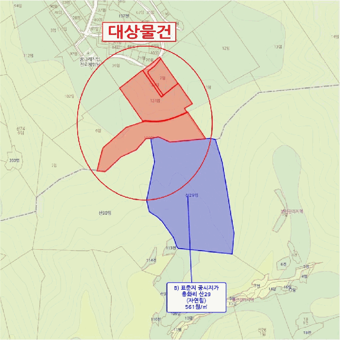 충청남도 금산군 제원면 천내리 196-7 외 3필지 임야 경매 사진 36
