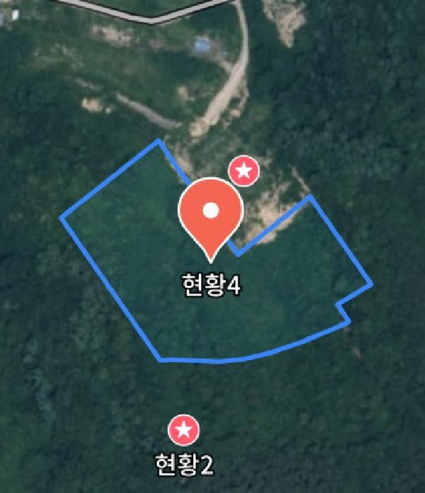 충청남도 금산군 제원면 천내리 196-7 외 3필지 임야 경매 사진 5