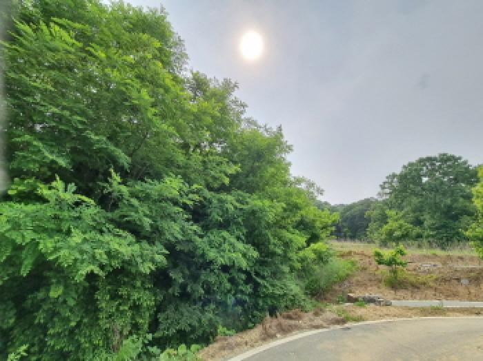 세종특별자치시 장군면 용암리 산107-16 외 12필지 임야 경매 사진 32