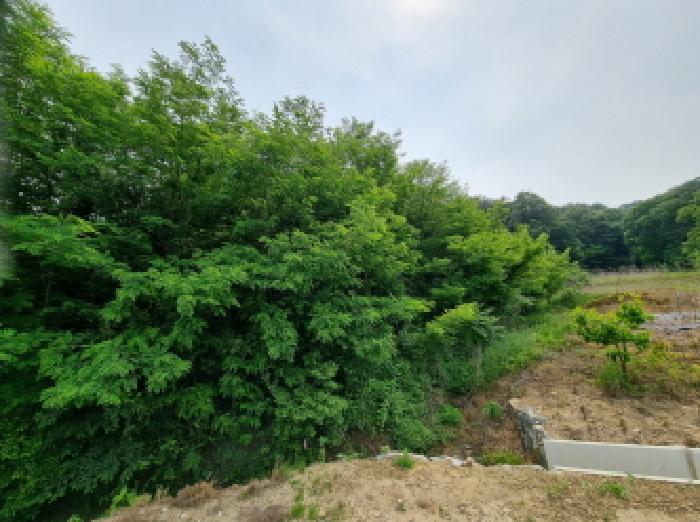 세종특별자치시 장군면 용암리 산107-16 외 12필지 임야 경매 사진 34