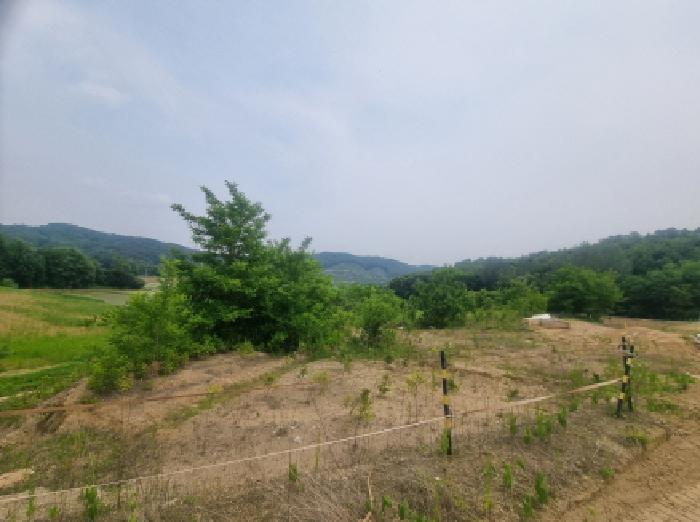 세종특별자치시 장군면 용암리 산107-16 외 12필지 임야 경매 사진 36