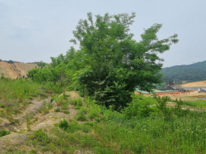 세종특별자치시 장군면 용암리 산107-16 외 12필지 임야 경매 사진 37
