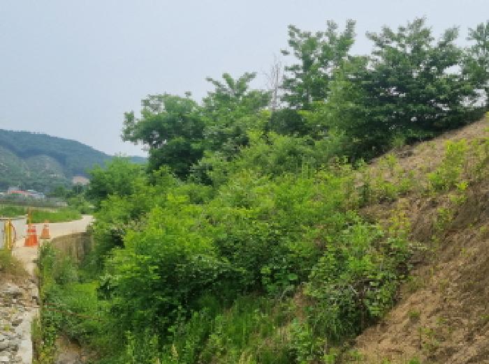 세종특별자치시 장군면 용암리 산107-16 외 12필지 임야 경매 사진 38