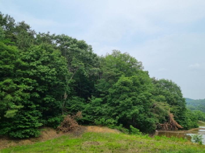 세종특별자치시 장군면 용암리 산107-16 외 12필지 임야 경매 사진 58