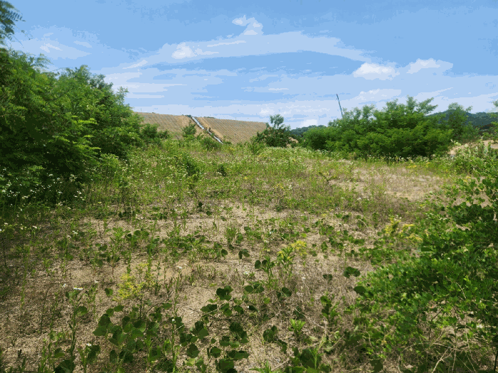 세종특별자치시 장군면 용암리 산107-16 외 12필지 임야 경매 사진 93