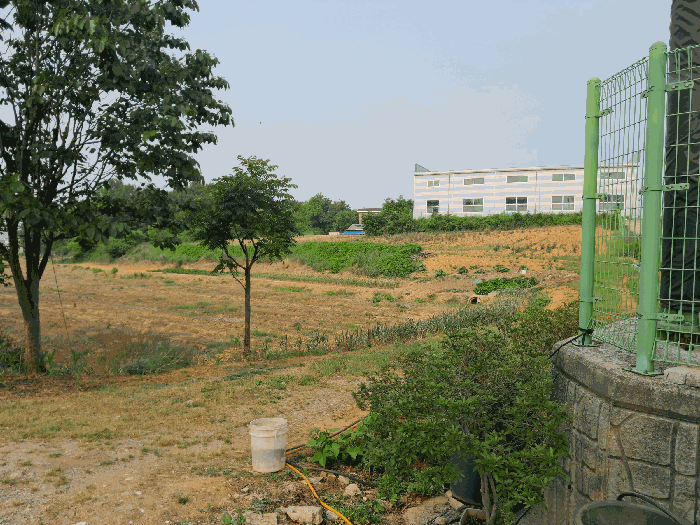 충청남도 당진시 합덕읍 운산리 1-49 외 2필지 학교용지 경매 사진 12