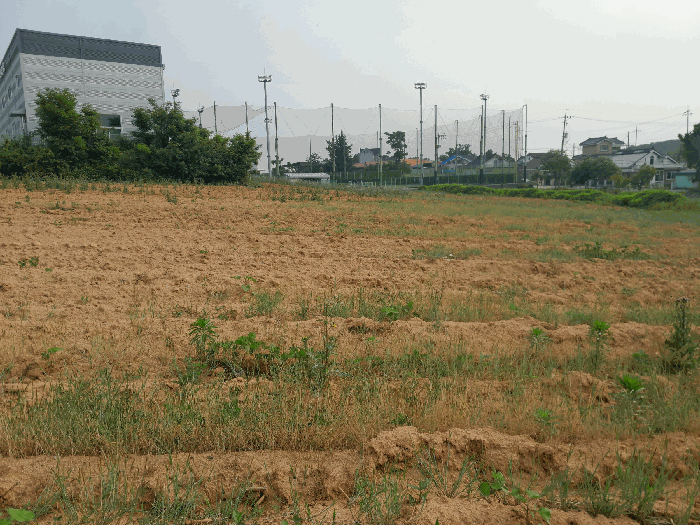 충청남도 당진시 합덕읍 운산리 1-49 외 2필지 학교용지 경매 사진 13
