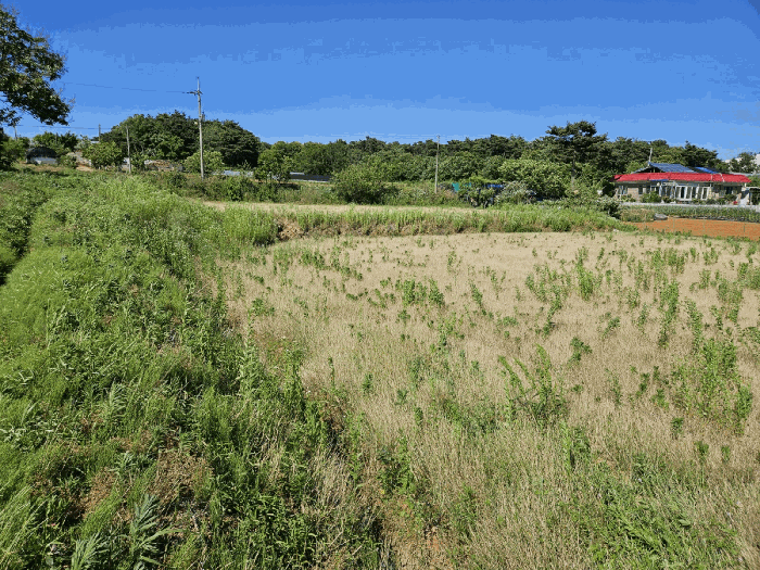 충청남도 당진시 신평면 거산리 470 외 1필지 전 경매 사진 9