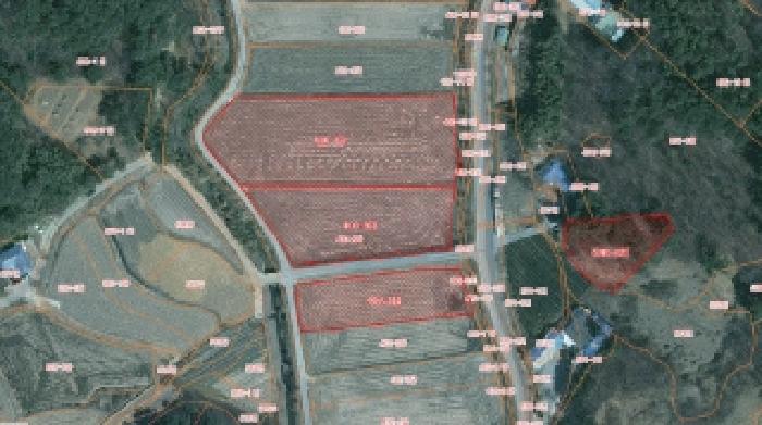 충청남도 서산시 성연면 예덕리 400-7 외 2필지 답 경매 사진 1