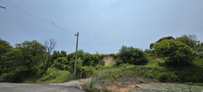 경상북도 김천시 개령면 덕촌리 264 전 경매 사진 15