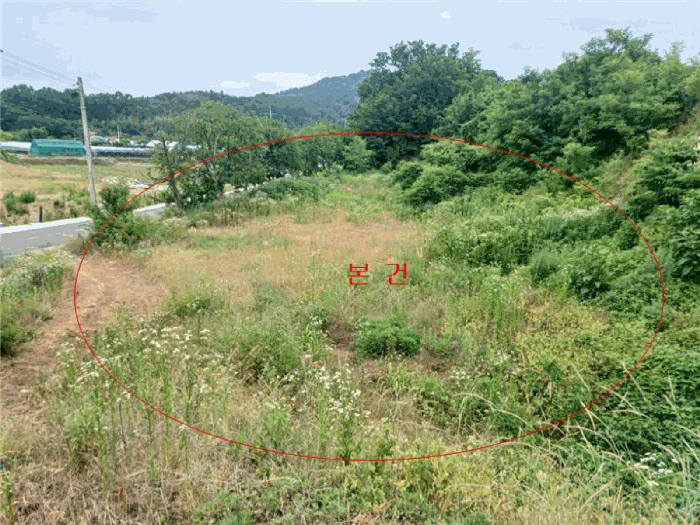 경상북도 김천시 개령면 덕촌리 264 전 경매 사진 21