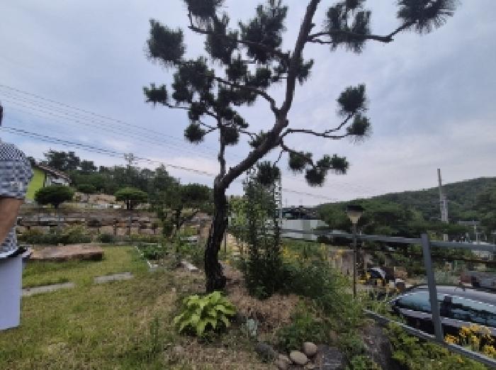 경상북도 포항시 북구 흥해읍 학천리 591-7 제2동 주택 경매 사진 15