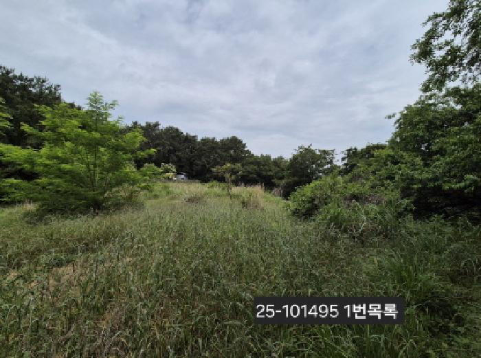 부산광역시 강서구 눌차동 389-1 전 경매 사진 4