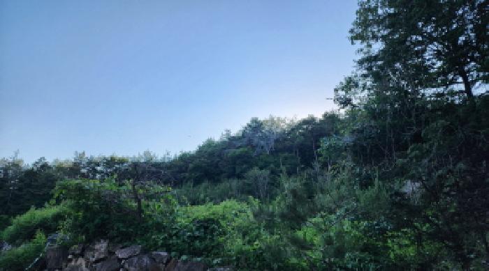 울산광역시 울주군 삼동면 하잠리 1223-7 외 2필지 임야 경매 사진 1