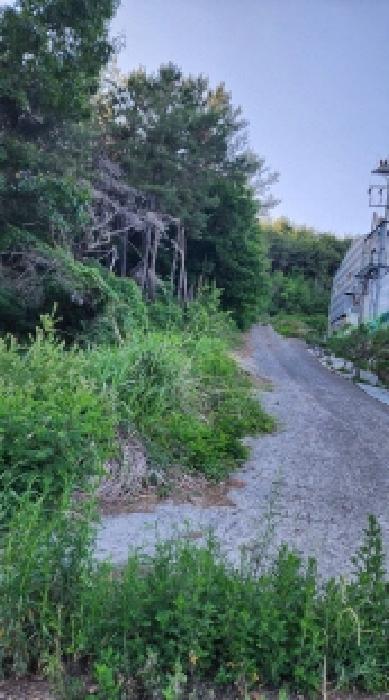 울산광역시 울주군 삼동면 하잠리 1223-7 외 2필지 임야 경매 사진 3