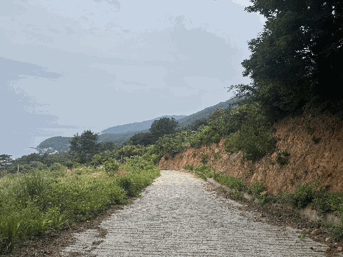 경상남도 거제시 일운면 망치리 247-42 전 경매 사진 5