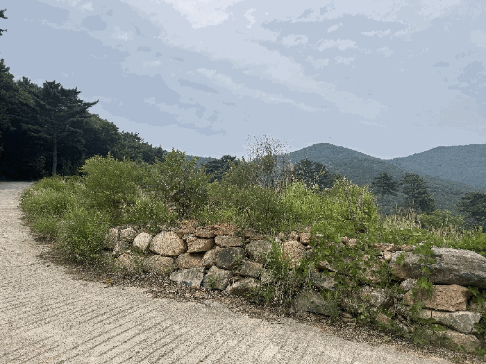 경상남도 거제시 일운면 망치리 247-42 전 경매 사진 7
