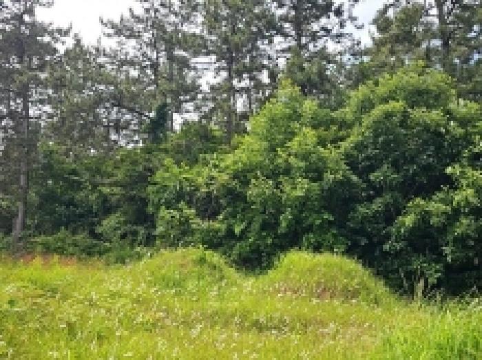 전라남도 해남군 문내면 충평리 88 임야 경매 사진 15