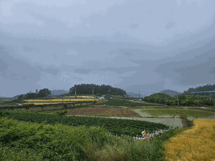 전라남도 해남군 문내면 충평리 88 임야 경매 사진 19