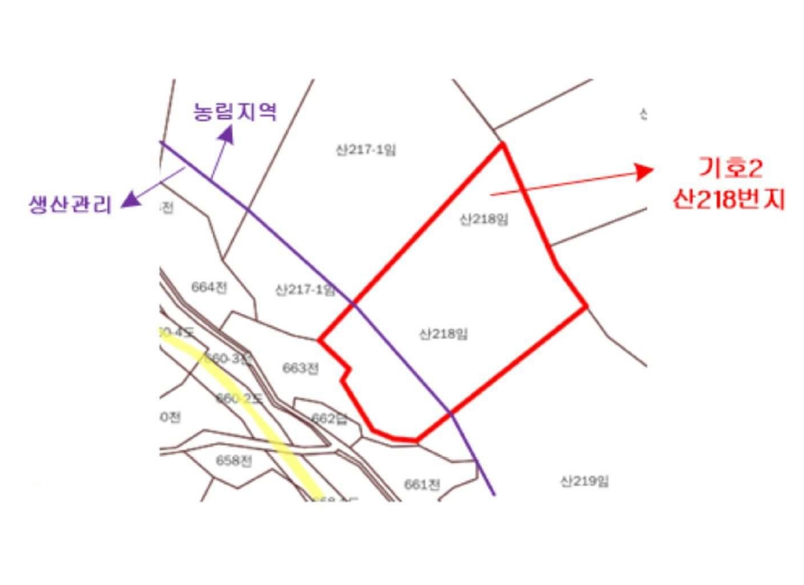 경기도 연천군 신서면 마전리 산218 임야 경매 사진 19
