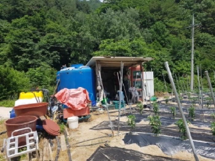 강원특별자치도 인제군 북면 용대리 1435 외 1필지 전 경매 사진 14