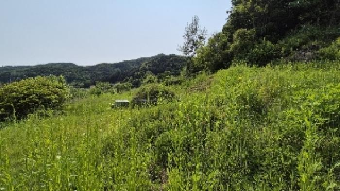 강원특별자치도 화천군 상서면 노동리 519-1 전 경매 사진 1