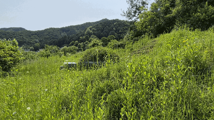 강원특별자치도 화천군 상서면 노동리 519-1 전 경매 사진 2