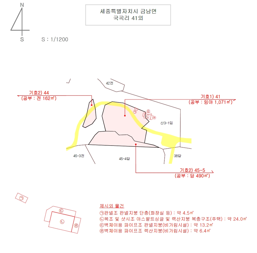 세종특별자치시 금남면 국곡리 41 외 2필지 임야 경매 사진 31
