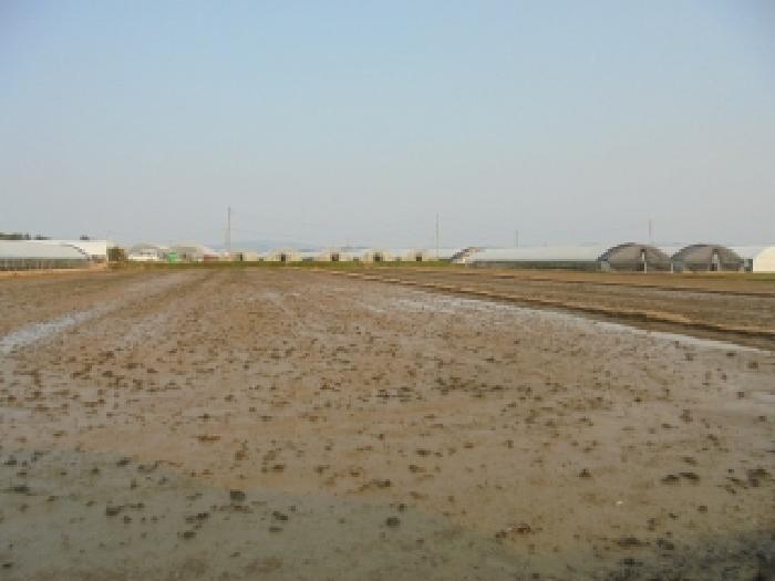충청남도 논산시 광석면 천동리 499-6 답 경매 사진 1
