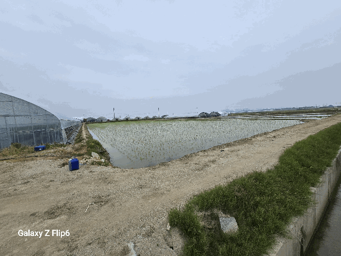 충청남도 논산시 광석면 천동리 499-6 답 경매 사진 3