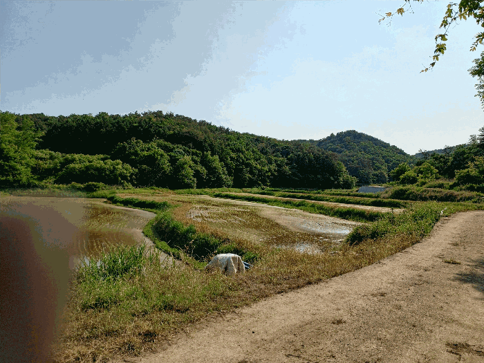 경상북도 경주시 하동 산203 임야 경매 사진 9