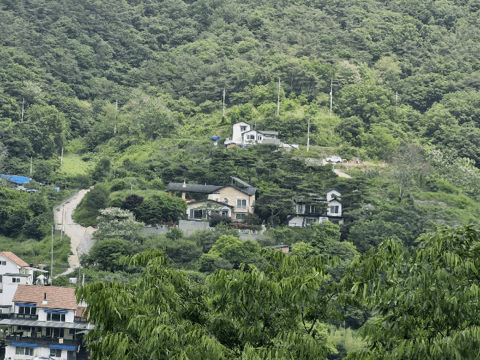 전라남도 화순군 동면 서성리 198-1 전 경매 사진 9