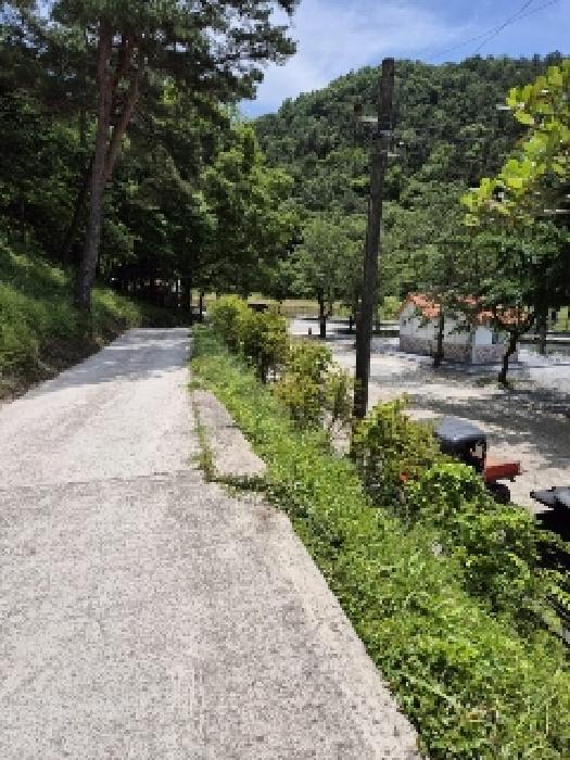 전라남도 담양군 담양읍 학동리 543-2 외 5필지 도로 경매 사진 2