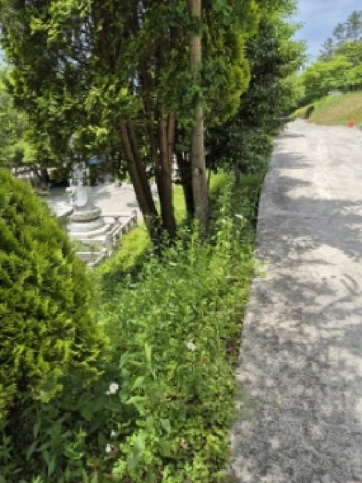 전라남도 담양군 담양읍 학동리 543-2 외 5필지 도로 경매 사진 4