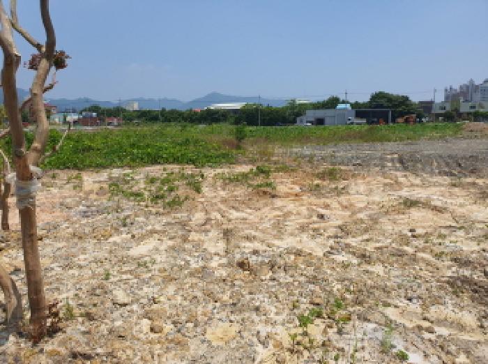 전라남도 강진군 강진읍 평동리 306 답 경매 사진 8