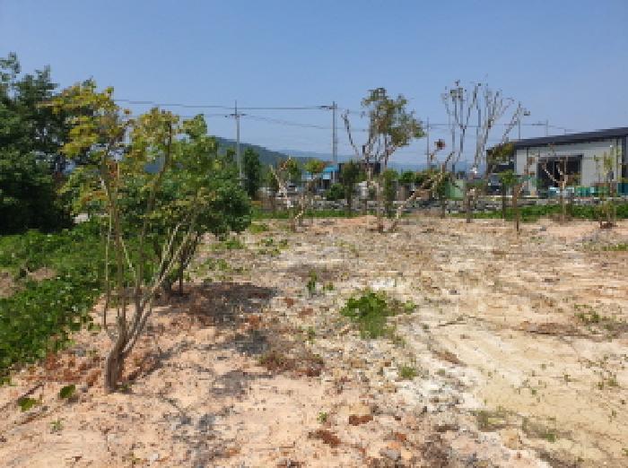 전라남도 강진군 강진읍 평동리 306 답 경매 사진 10