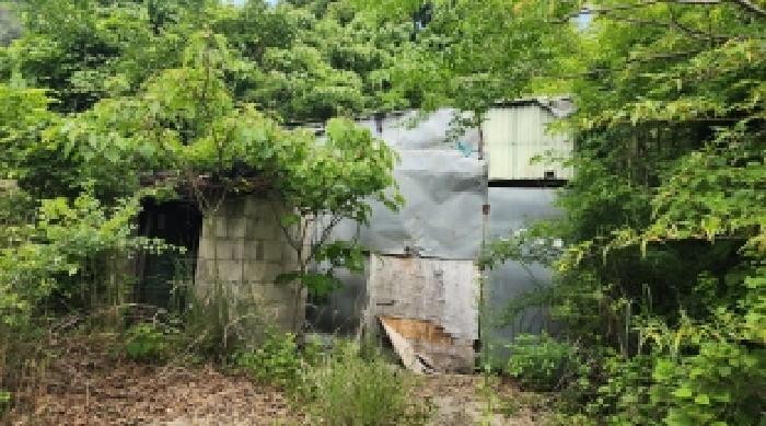 전라남도 고흥군 점암면 대룡리 589-1 전 경매 사진 23