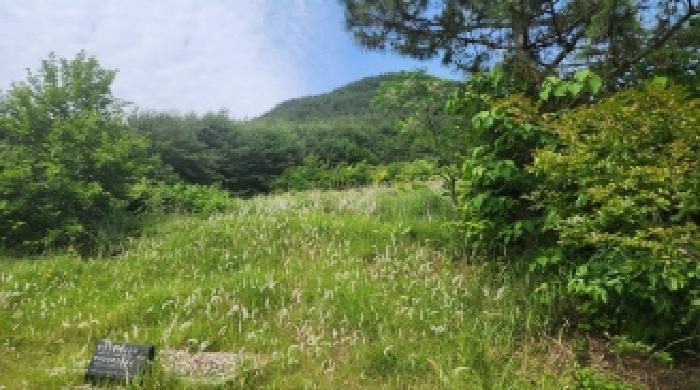 전라남도 고흥군 점암면 대룡리 589-1 전 경매 사진 26