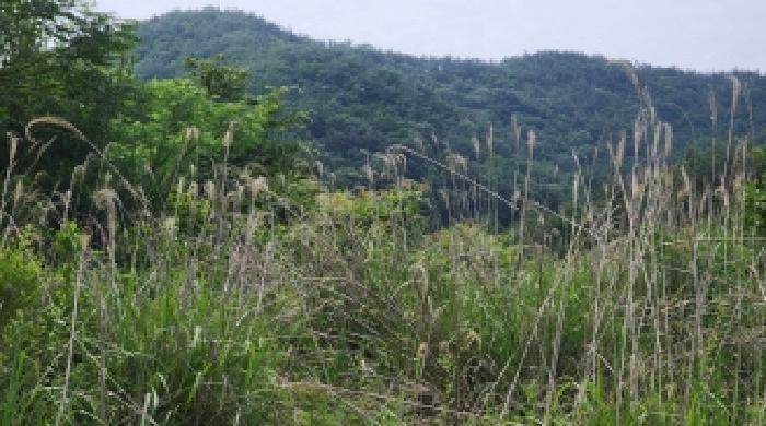 전라남도 고흥군 점암면 대룡리 589-1 전 경매 사진 27