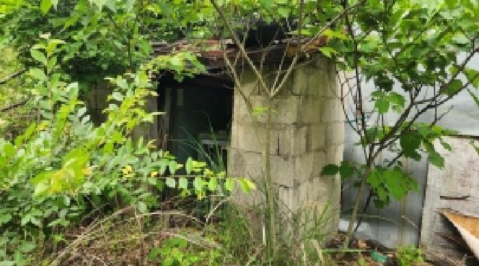 전라남도 고흥군 점암면 대룡리 589-1 전 경매 사진 32