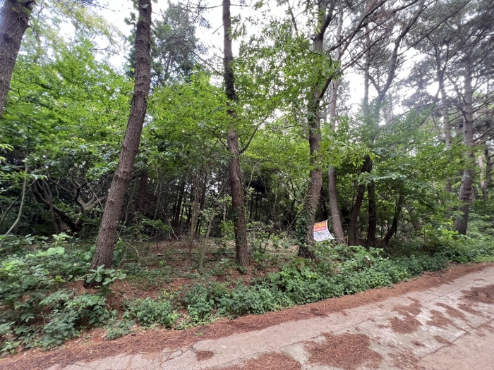 충청남도 태안군 남면 당암리 170-6 외 1필지 임야 경매 사진 13