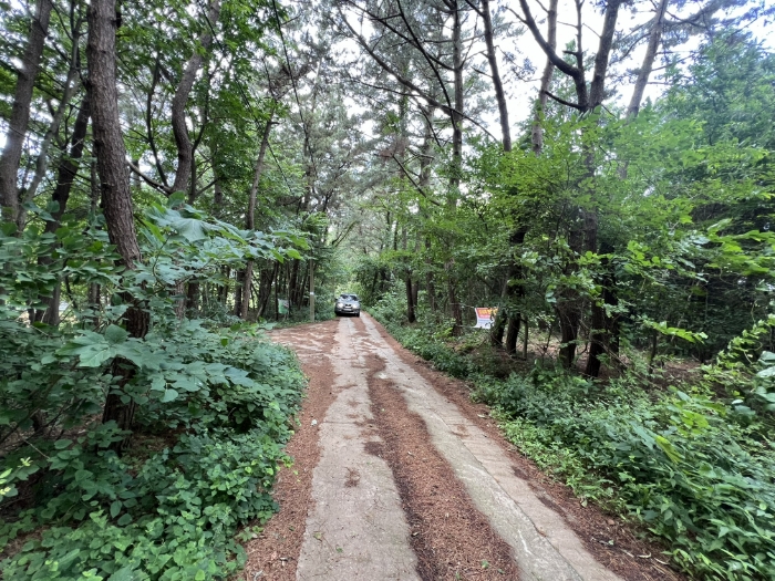 충청남도 태안군 남면 당암리 170-6 외 1필지 임야 경매 사진 15
