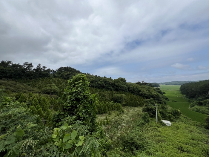 충청남도 태안군 남면 당암리 170-6 외 1필지 임야 경매 사진 7