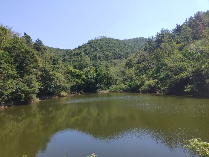 경상남도 창녕군 남지읍 아지리 503 답 경매 사진 22